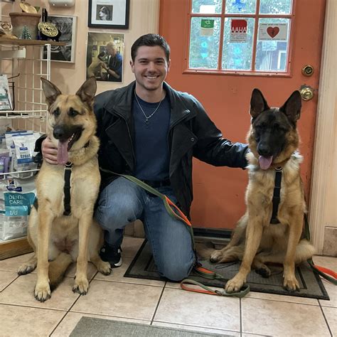 Scout & Levi! – Morris Hills Veterinary Clinic