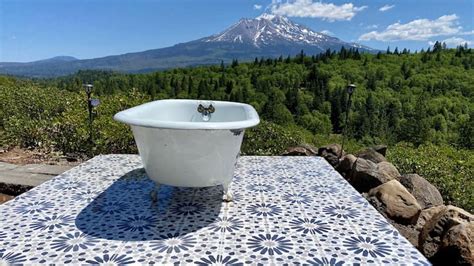 Redwoods Vacation Rentals & Homes - Whitmore, CA | Airbnb