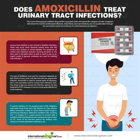 Does Amoxicillin treat Urinary Tract Infections? - InternationalDrugMart