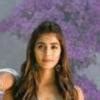 What are the main functional regions of a cell? Explain with the help ...