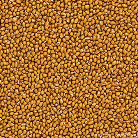 Kernel Concept 的图像结果