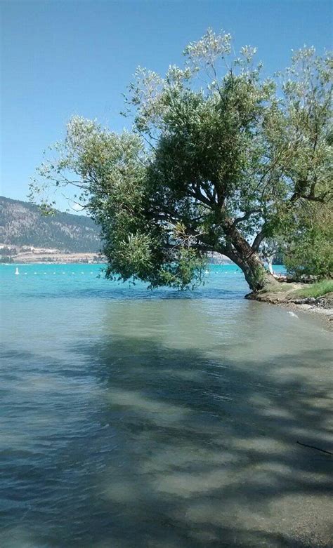 KALOYA PARK (2026) All You Need to Know BEFORE You Go (with Photos ...