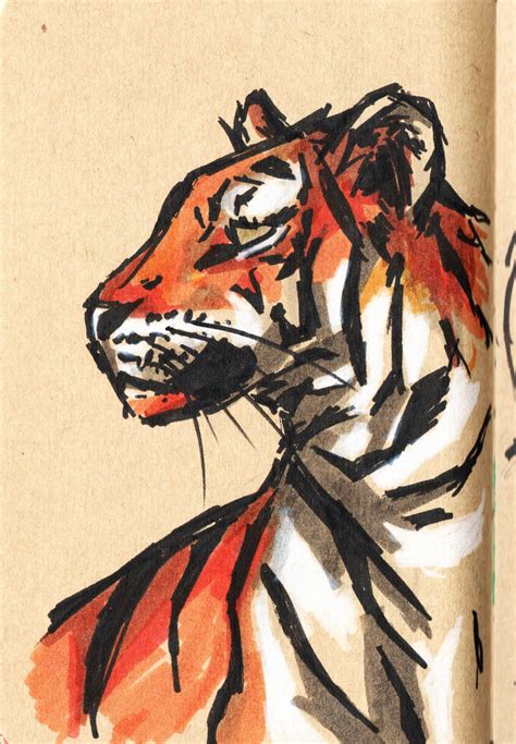 Image result for Tiger Drawing Easy