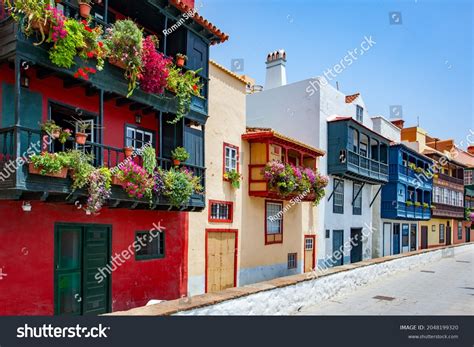 78,881 Flor Del Canario Images, Stock Photos & Vectors | Shutterstock