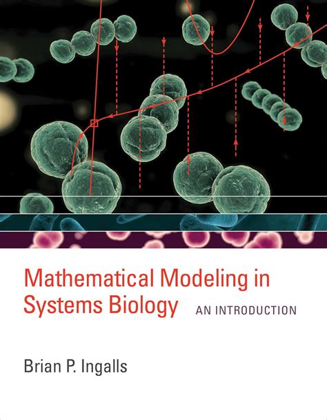 Buy Mathematical Modeling in Systems Biology: An Introduction (The MIT ...