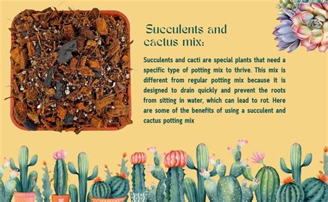 Sushila Agrofert's Succulent and Cactus Potting Mix, Ready to Use ...