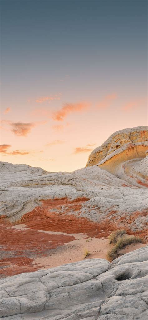 Image result for iPhone 12 Pro Max Theme