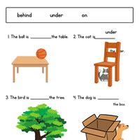 Printable Worksheet: Preposition - Class 2 PDF Download