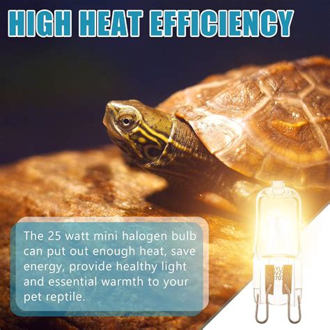 Buy 6 Pieces G9 Halogen Light Bulbs 25 Watt Mini Halogen Lamp Reptile ...
