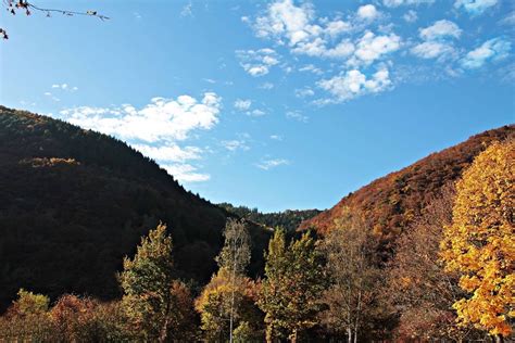 Nature Valley 的图像结果
