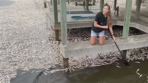 TPWD seeks public input to lower speckled trout bag limit | kiiitv.com