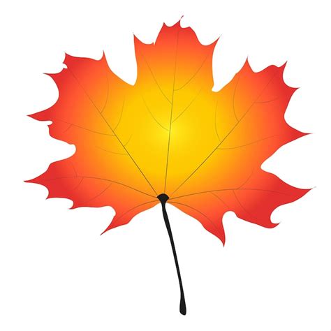 Images de Feuille d erable – Téléchargement gratuit sur Freepik