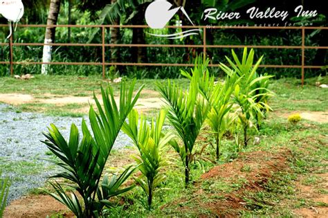 River Valley Inn | Best Ambiance in Attapadi
