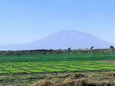 ETHOS TOURS PRIVATE LIMITED COMPANY (2025) All You Need to Know BEFORE ...