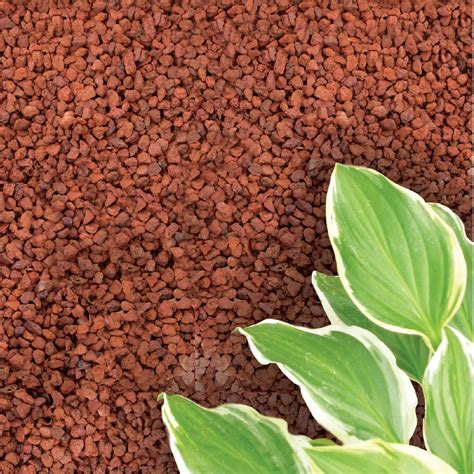 FloweRock 5LB Red Quarter Lava Rock : Amazon.in: Garden & Outdoors