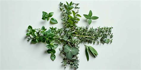 Image result for Data Visualization Framework Python