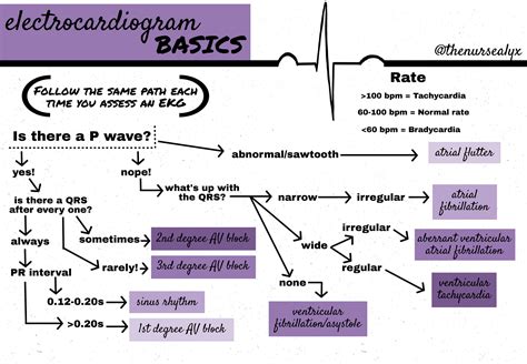 ECG Explained 的图像结果