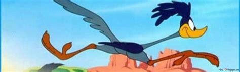 Road Runner Running Fast 的图像结果