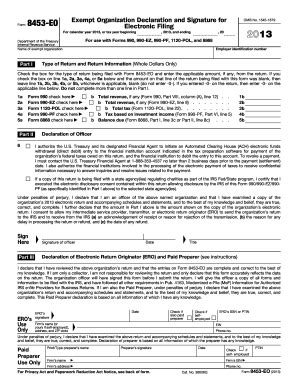 IRS 8453-EO 2013 - Fill and Sign Printable Template Online