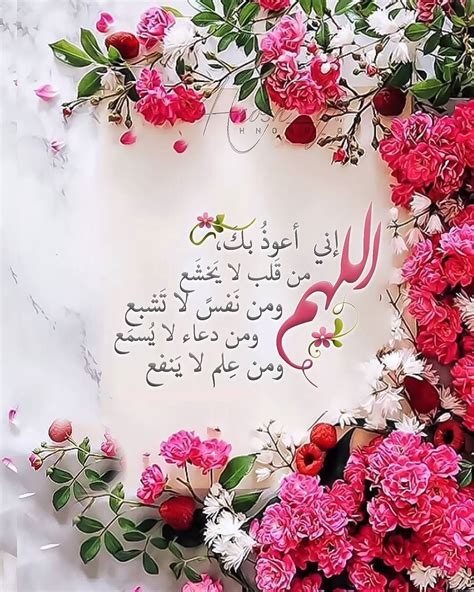 Pin on دعاء | Good morning flowers gif, Islamic images, Islamic prayer