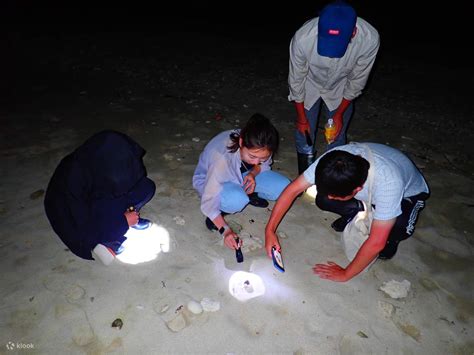 Image result for Java Island at Night