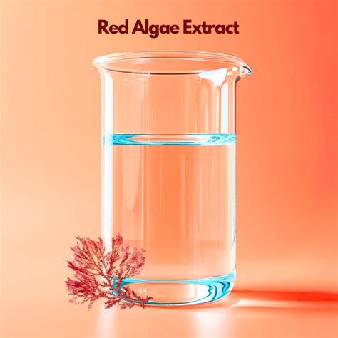 Red Algae Extract | Chondrus Crispus | Hydrating Marine Ingredient ...