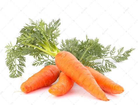 胡萝卜叶子能吃吗 胡萝卜叶子怎么做好吃 - 活动线报 - QQ技术网