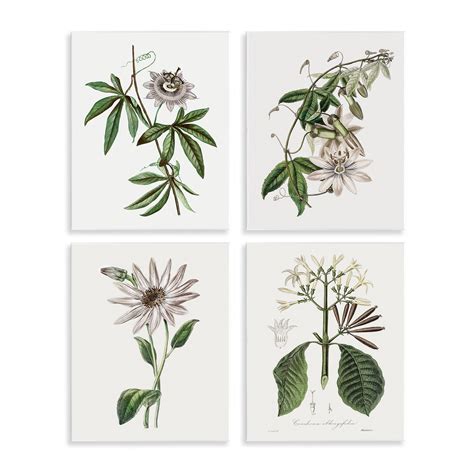 Stupell Industries Various Vintage Botanicals Wall Plaque Design by CAD ...