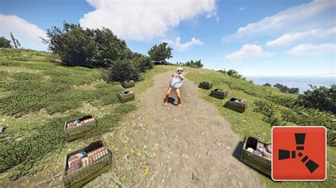 How to Use Server IP Rust 的图像结果