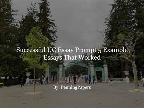 Successful UC Essay Prompt 5 Example Essays That Worked - PenningPapers