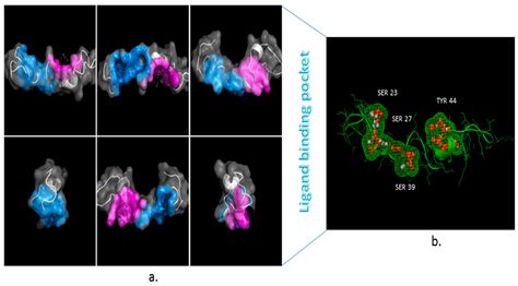 Structure Based Design and Molecular Docking Studies for Phosphorylated ...
