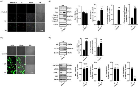 Bioactive C21 Steroidal Glycosides from Euphorbia kansui Promoted HepG2 ...
