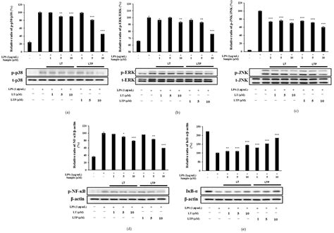 Luteolin-3′-O-Phosphate Inhibits Lipopolysaccharide-Induced ...