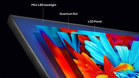 Image result for Mini LED vs Q-LED