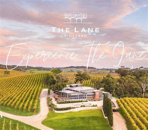 THE LANE VINEYARD - EXPERIENCES (2025) All You Need to Know BEFORE You ...