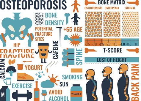 Bone Density - Green Imaging - Affordable MRIs, CT Scan, Mammogram