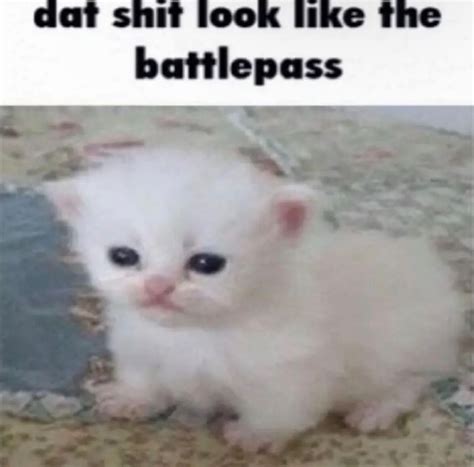 Kat Hacks Out 的图像结果