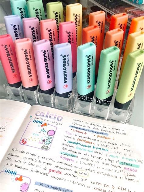 Aesthetic School Stationery 的图像结果