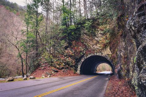 2026 Guide To Exploring Gatlinburg SkyPark In The Smokies