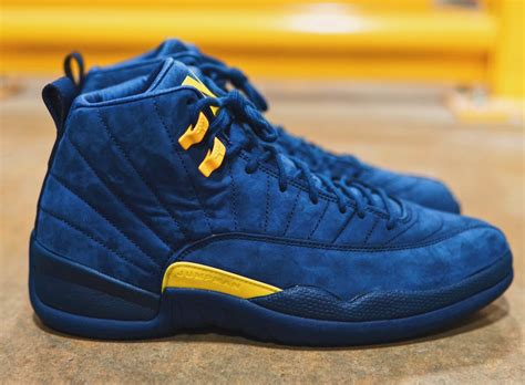 air jordan 12 flight club,www.npssonipat.com