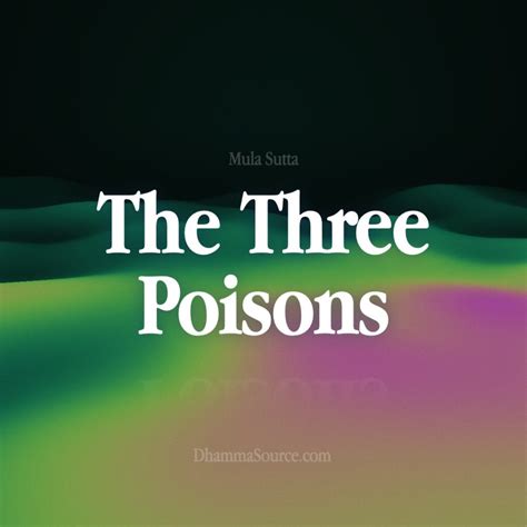 The Three Poisons – Buddhism - Dhamma Source