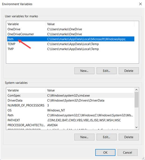 Path Variable Python 的图像结果