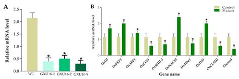 Precise Editing of the OsPYL9 Gene by RNA-Guided Cas9 Nuclease Confers ...