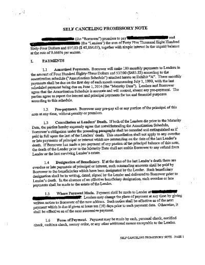 Sample Self Cancelling Installment Note 的图像结果