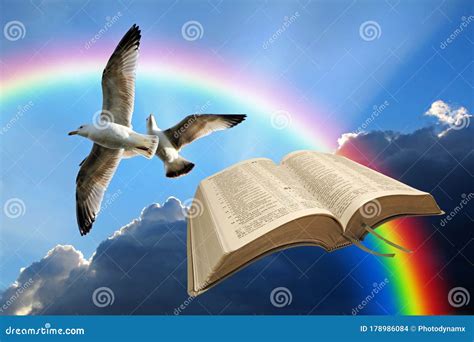 Bible Birds of Freedom Sky Clouds Flying Fly Flight Spiritual ...