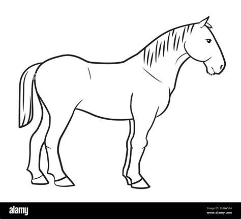 Simple Horse Outline Drawings