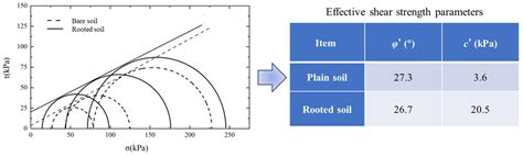 Stability of Ficus virens-Reinforced Slopes Considering Mechanical and ...