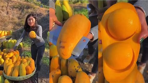 Ajab Gajab: थाईलैंड में मिलेगा रसीले फल का असली स्वाद, यहां मिलता है ...