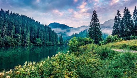 Lista De Fuentes De Energia No Renovables