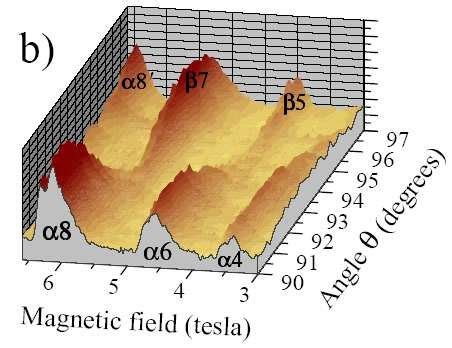 Contour Color Map 的图像结果